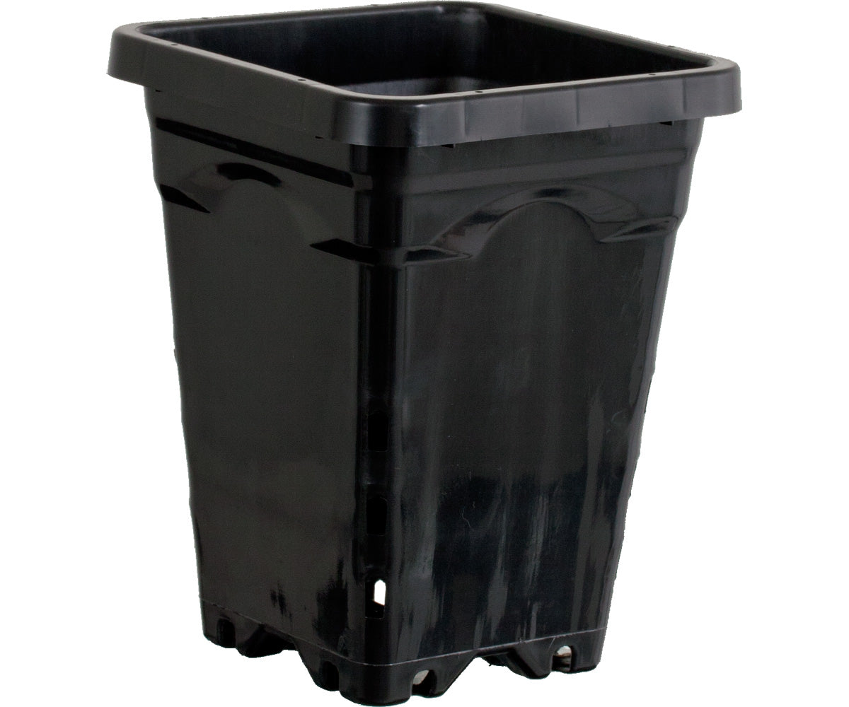 Square Black Pot - Active Aqua 5" x 5" Square Black Pot, 7" Tall, case of 100