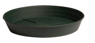Green Premium Saucers - Green Premium Saucer, 8", pack of 25
