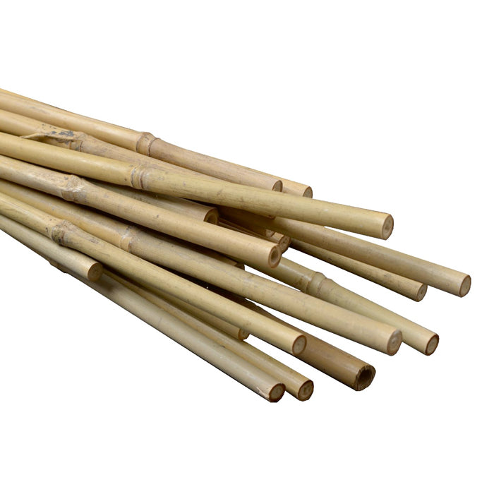 Natural Bamboo Stakes 4ft 10-12mm (250pcs/Bale)