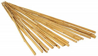Natural Bamboo Stake - GROW!T 4' Bamboo Stakes, Natural, pack of 25