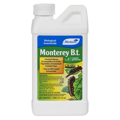 Monterey B.t. - Monterey B.t. Pint (12/Cs)