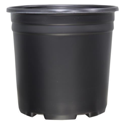 Nursery Pots - Thermoformed - Thermoformed Nursery Pot 2 Gallon