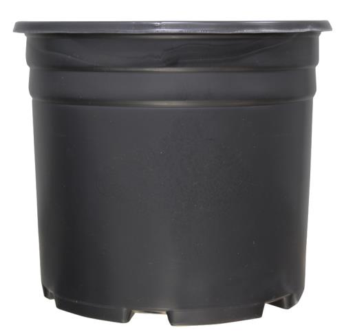 Nursery Pots - Thermoformed - Thermoformed Nursery Pot 3 Gallon
