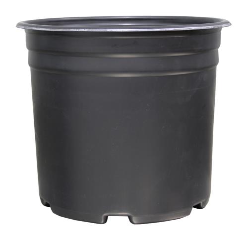 Nursery Pots - Thermoformed - Thermoformed Nursery Pot 5 Gallon