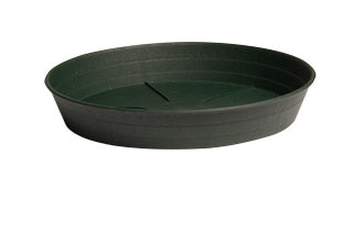 Green Premium Saucers - Green Premium Saucer, 10", pack of 25
