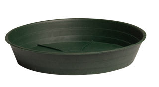 Green Premium Saucers - Green Premium Saucer 16", pack of 10