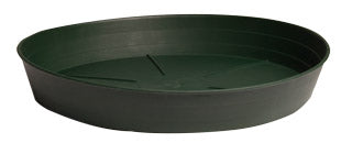 Green Premium Saucers - Green Premium Saucer, 6", pack of 25